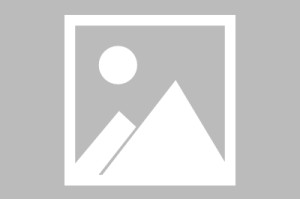 黑白体育官方网站-4名女运动员获授全国三八红旗手称号|夏季奥林匹克运动会|徐梦桃|张雯静|王蒙|全国妇联
